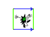 Cell wrapped to form a torus